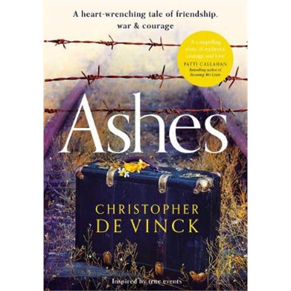 Ashes (Paperback) - Christopher de Vinck